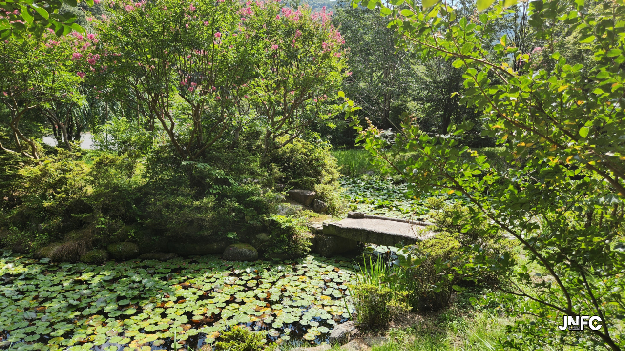 jnfc_6080_131286.jpg