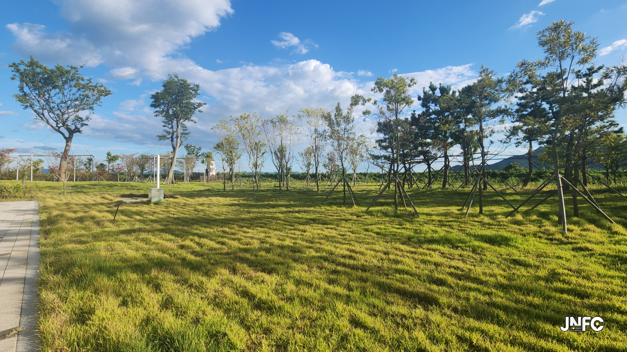 jnfc_6081_131319.jpg