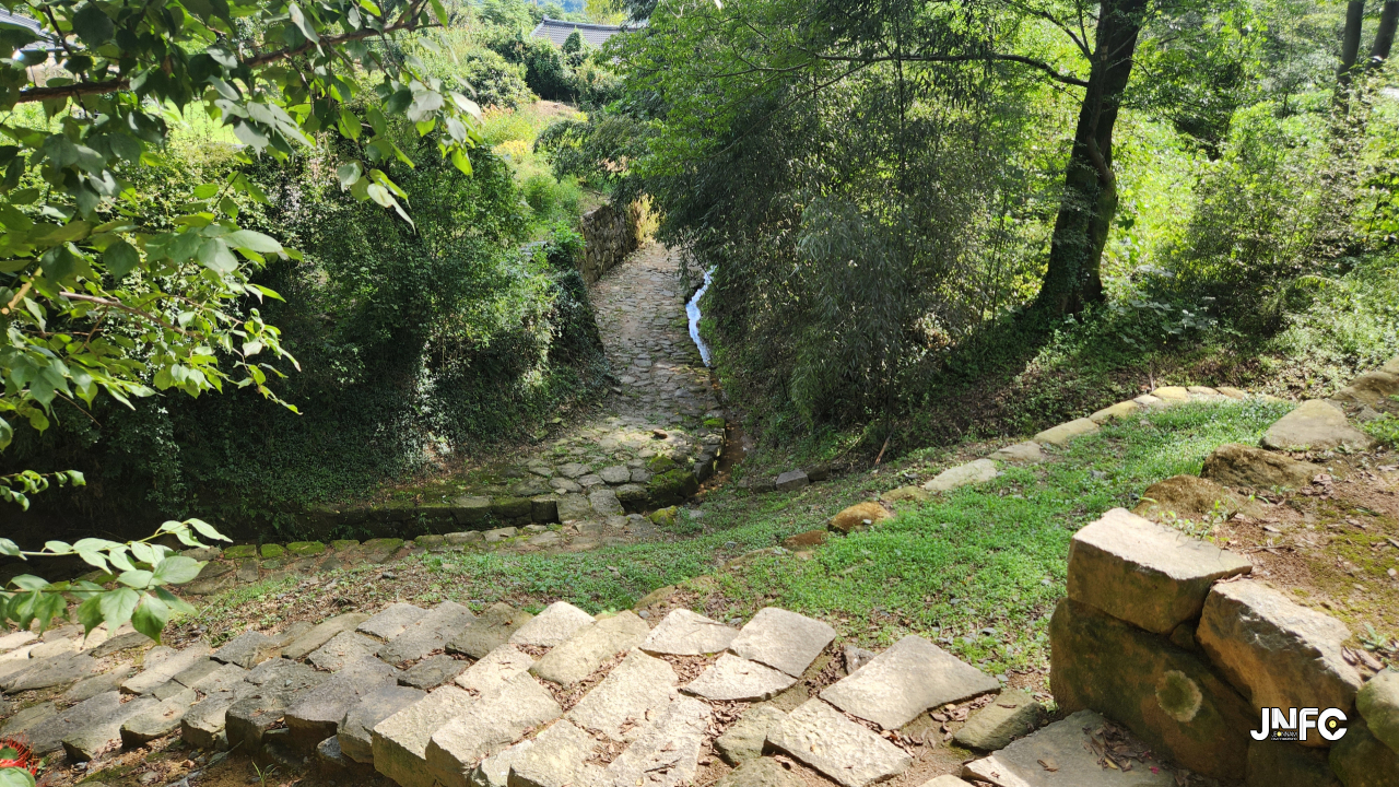 jnfc_6082_131343.jpg