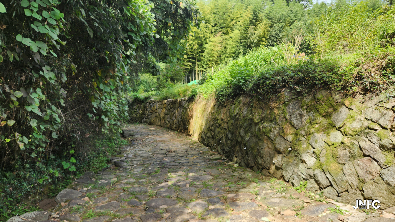 jnfc_6082_131347.jpg