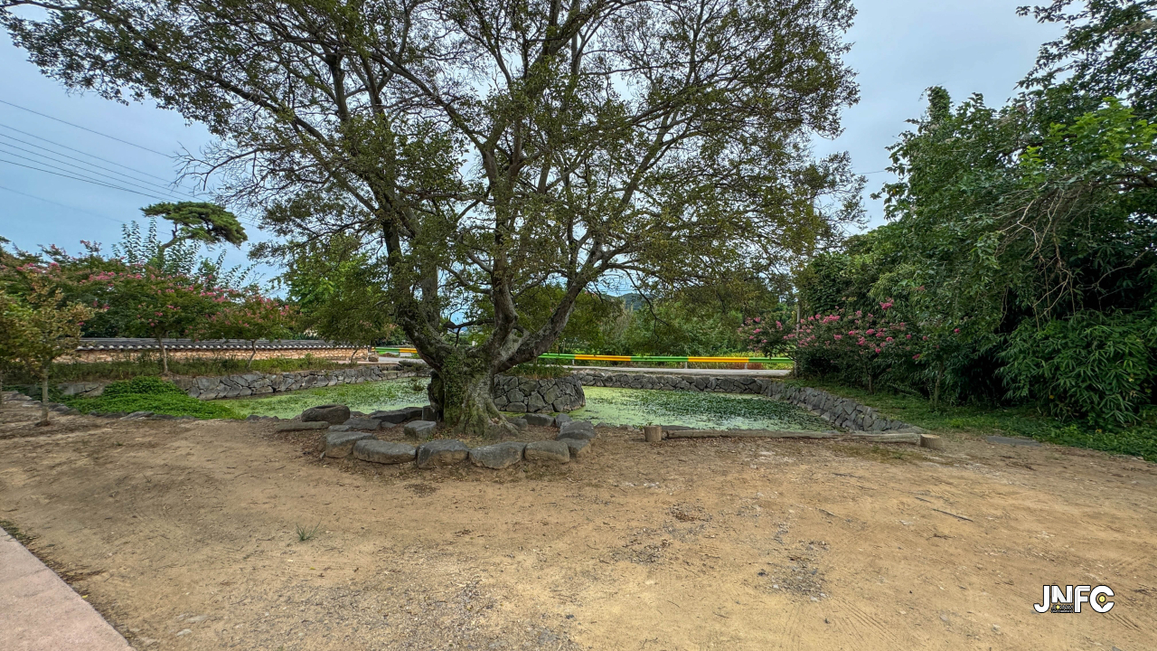 jnfc_6082_155738.jpg