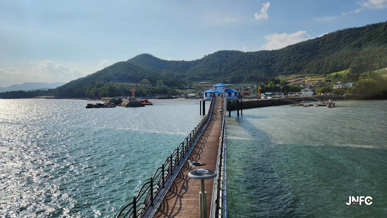 jnfc_6084_131218.jpg