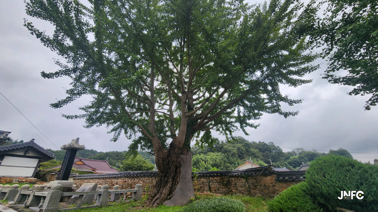 jnfc_6087_131402.jpg