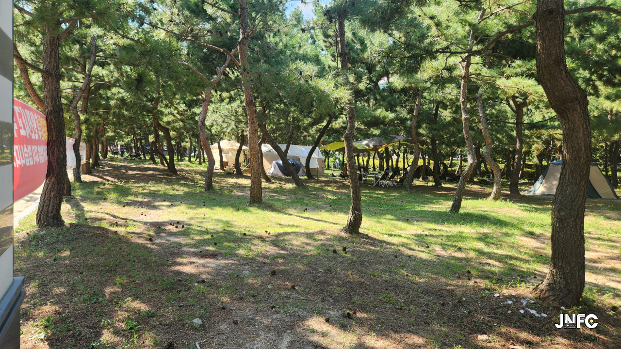 jnfc_6092_131370.jpg