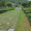 jnfc_6094_123648.jpg