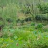 jnfc_6094_123654.jpg