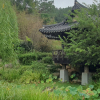 jnfc_6094_123655.jpg