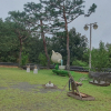 jnfc_6094_123700.jpg