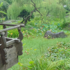 jnfc_6094_123705.jpg