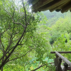 jnfc_6094_123711.jpg