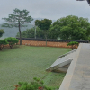 jnfc_6094_123714.jpg