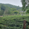 jnfc_6094_123723.jpg