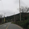 jnfc_6094_123730.jpg