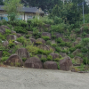 jnfc_6094_123737.jpg