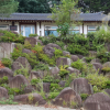 jnfc_6094_123738.jpg