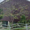 jnfc_6094_123748.jpg