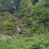 jnfc_6094_123751.jpg