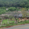 jnfc_6094_123759.jpg