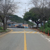 jnfc_6094_123765.jpg
