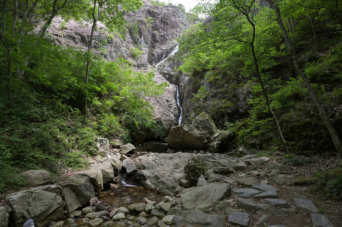 무안 물맞이 치유의 숲(물맞이공원, 산림욕장)