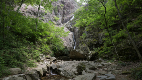 무안 물맞이 치유의 숲
