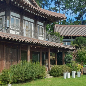 무안 마음의 고향 펜션(동백과 노을 음식점)