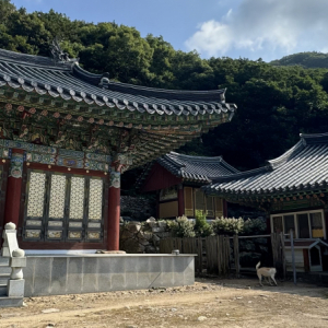 진흥사