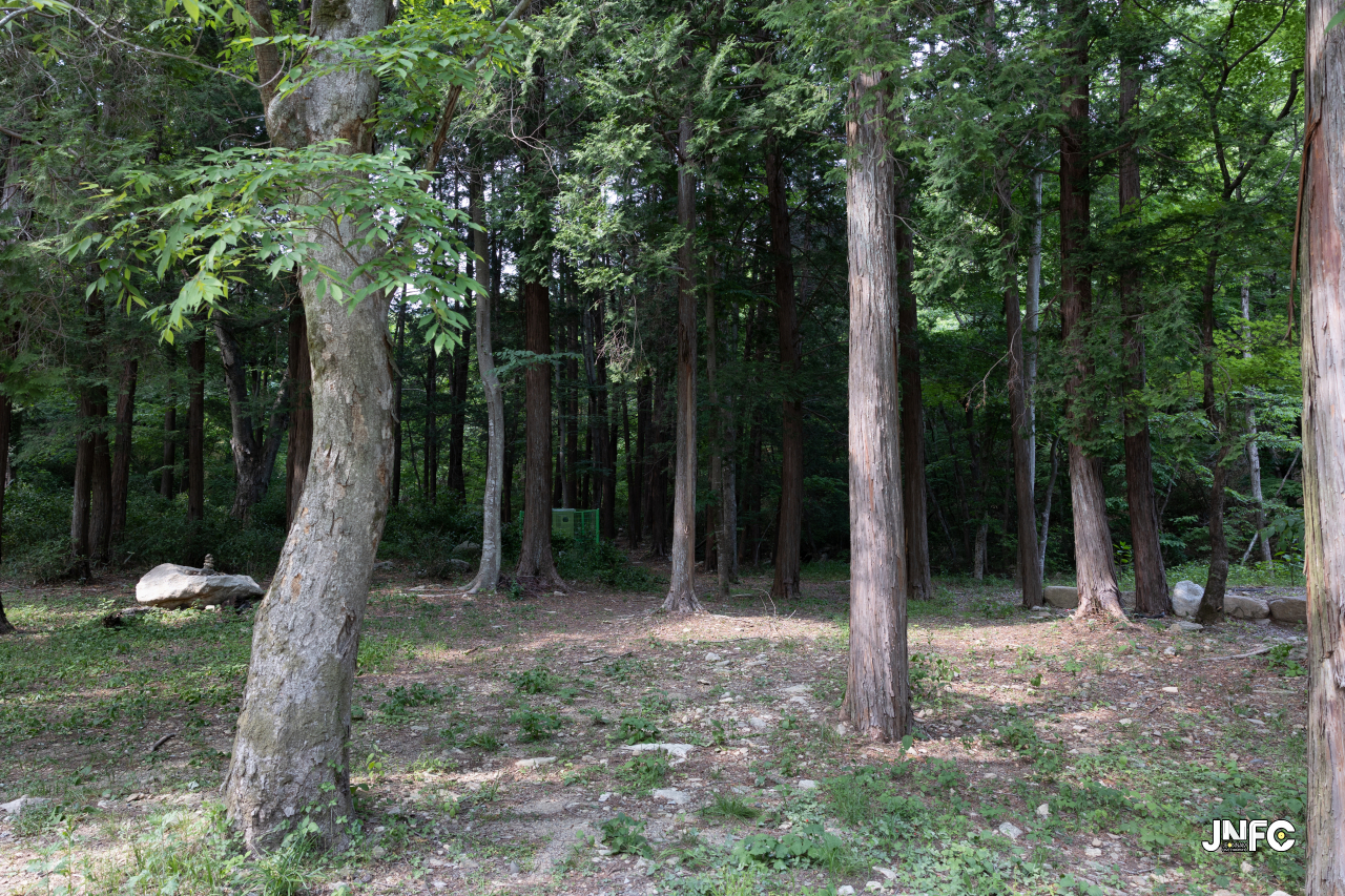 jnfc_6185_126796.jpg