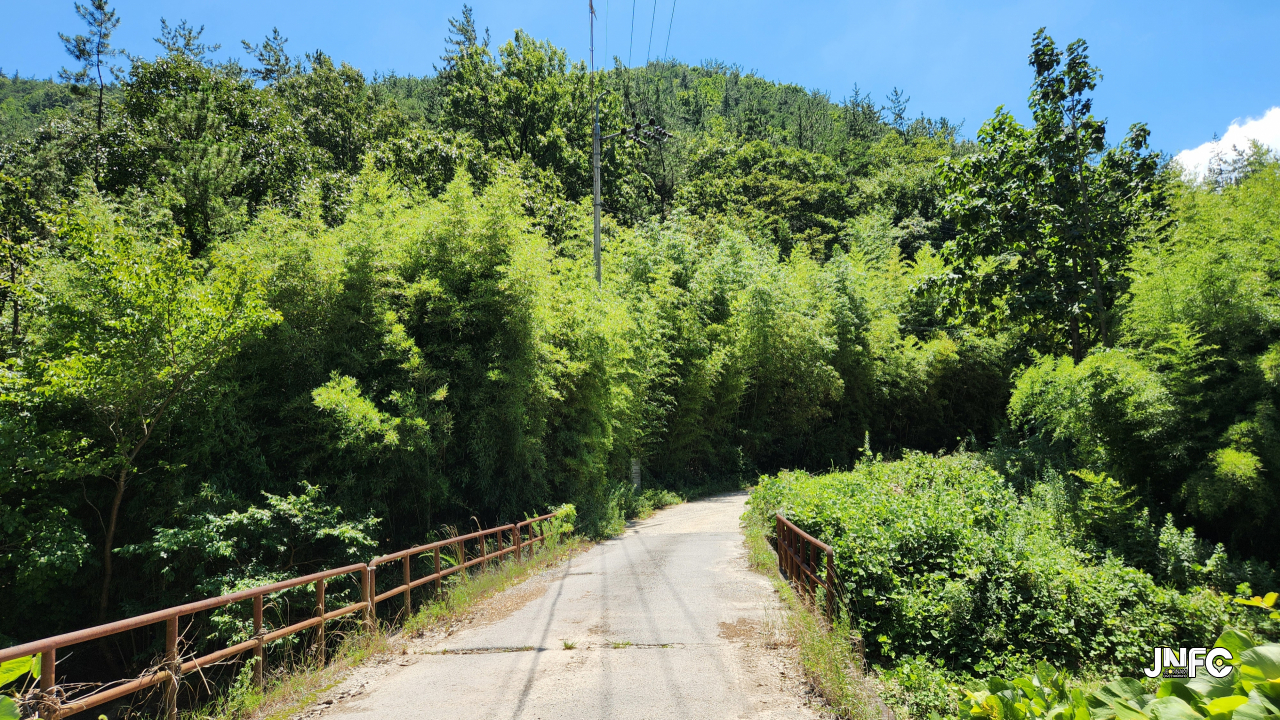 jnfc_6195_134304.jpg