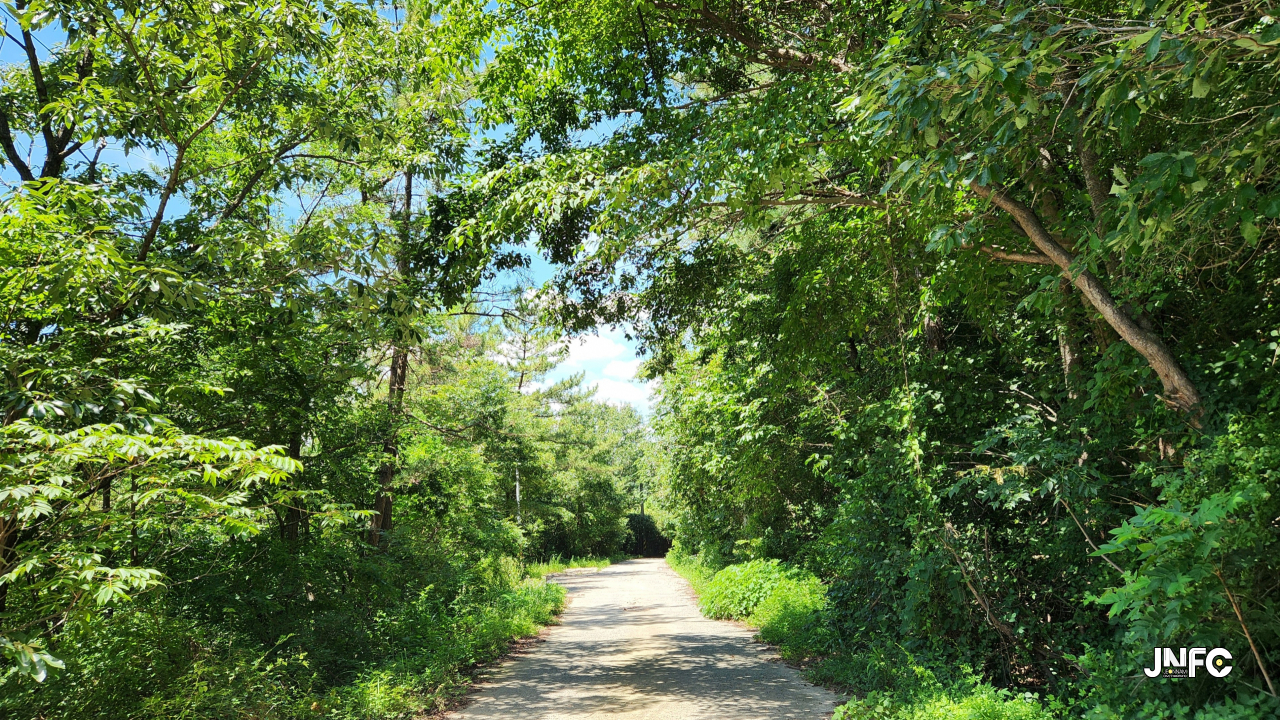 jnfc_6195_134309.jpg