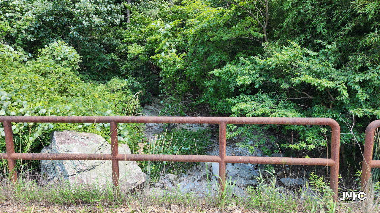 jnfc_6195_134312.jpg