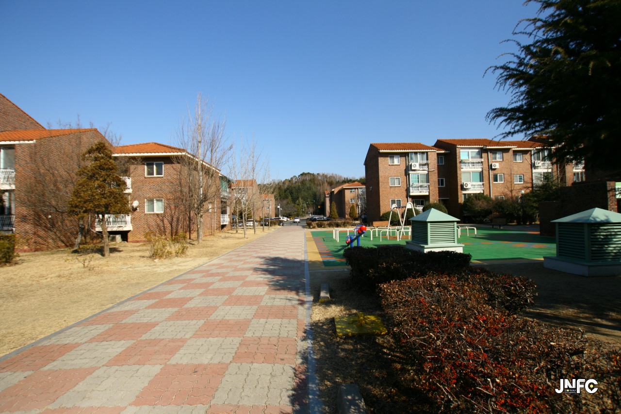 jnfc_62_130129.jpg