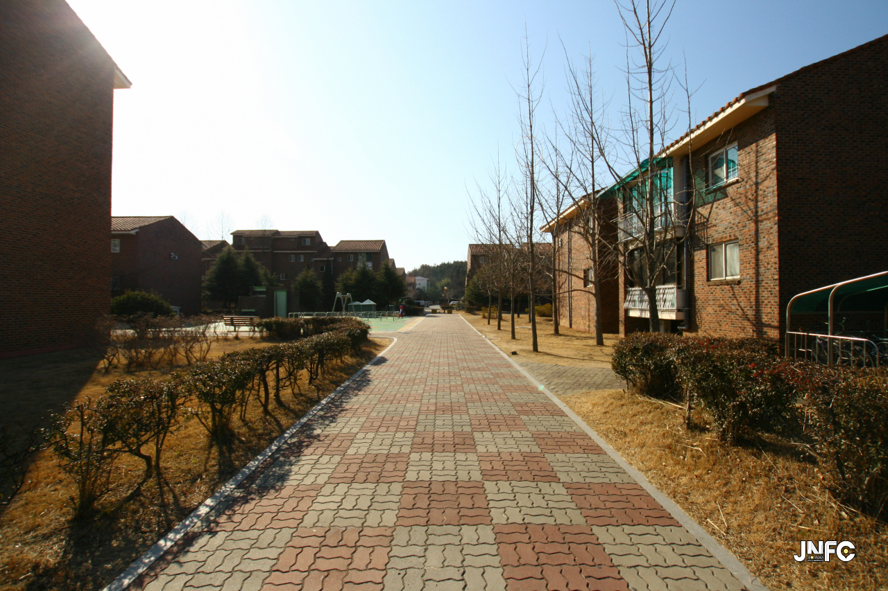 jnfc_62_130131.jpg