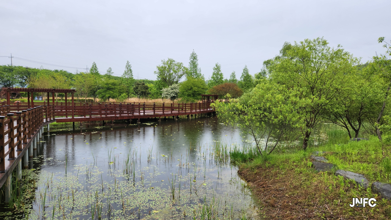 jnfc_6205_156967.jpg