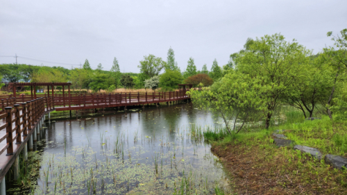 주암호생태습지