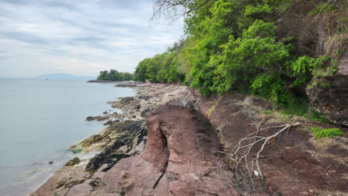 비봉공룡알화석지
