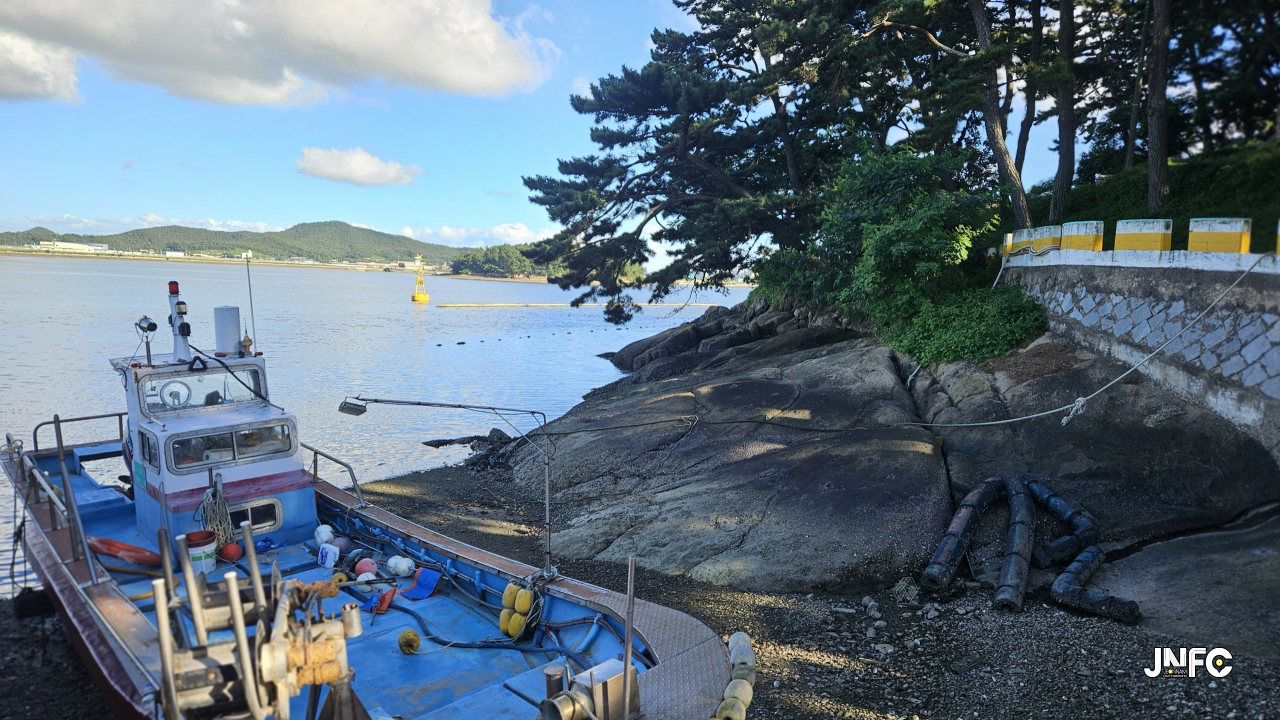 jnfc_6240_129664.jpg
