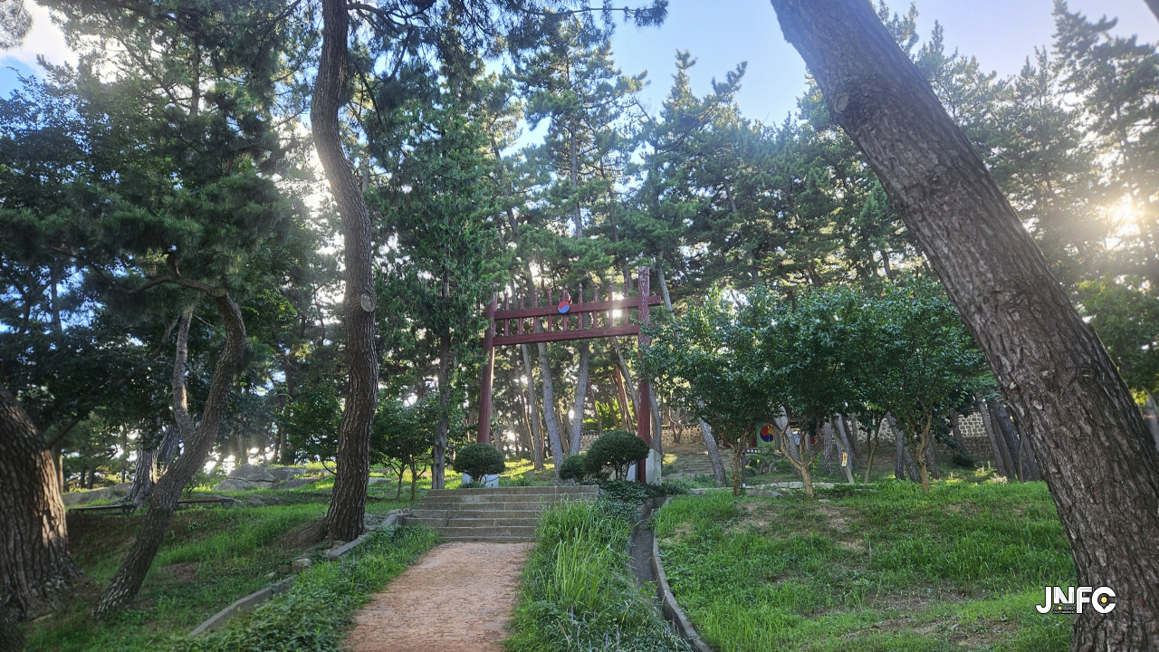 jnfc_6240_129667.jpg