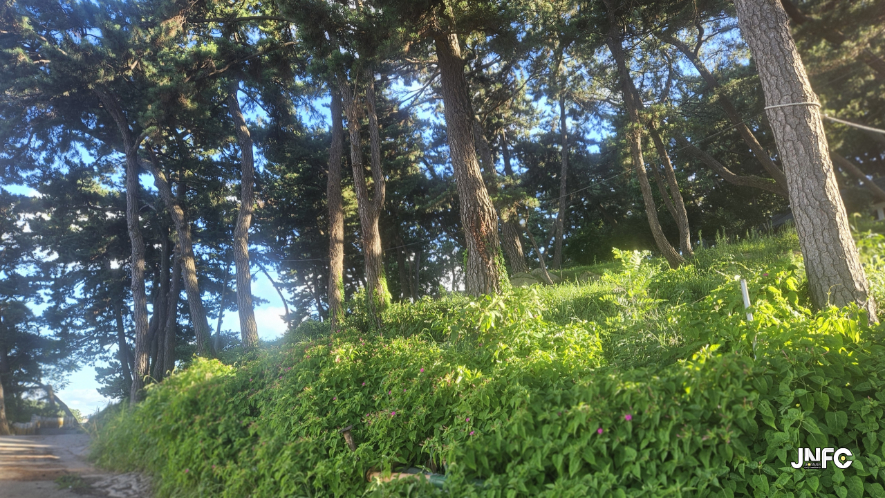 jnfc_6240_129670.jpg