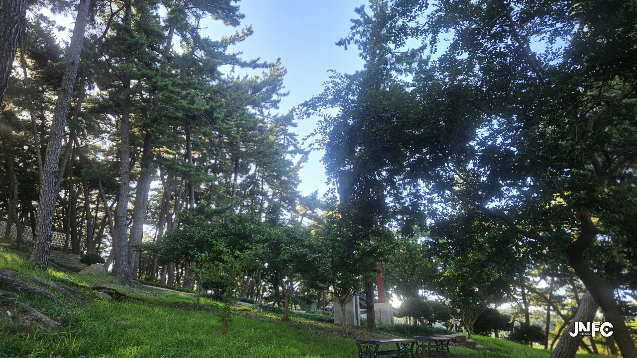 jnfc_6240_129673.jpg