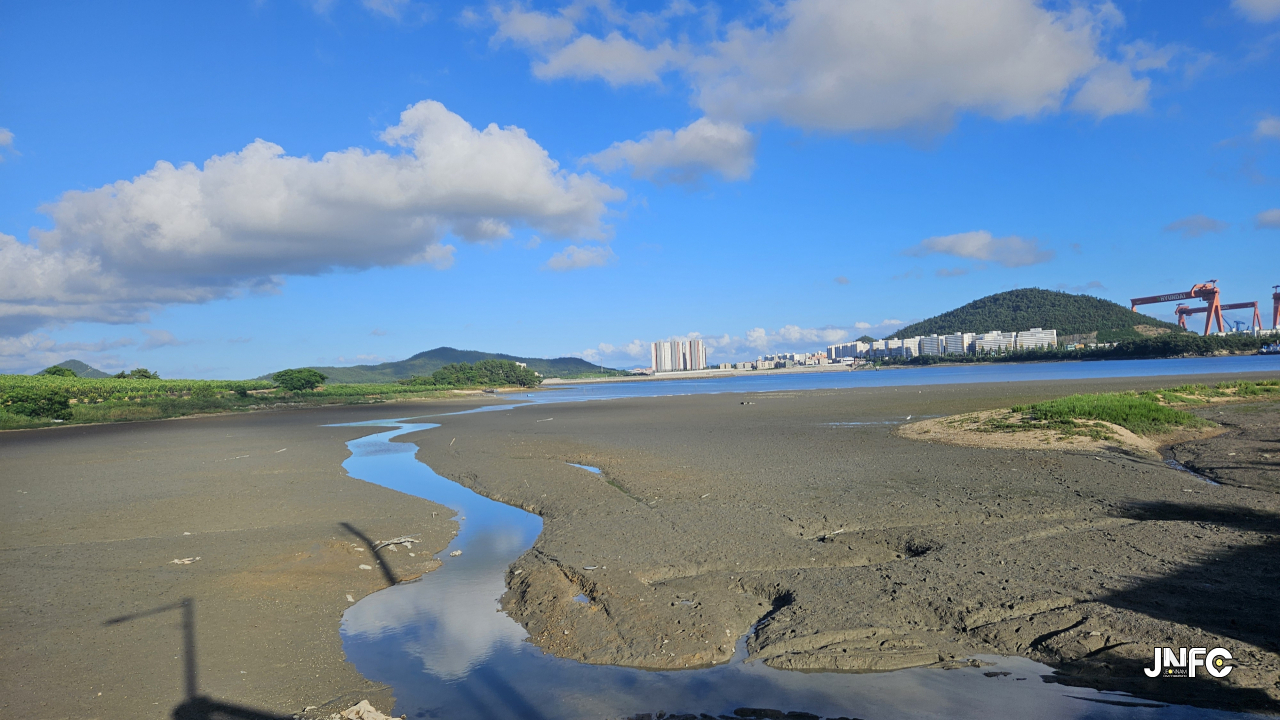 jnfc_6240_129677.jpg