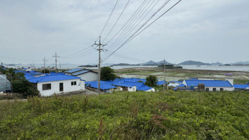 자라도 농촌마을