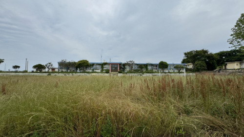 (폐) 안좌초등학교 자라분교