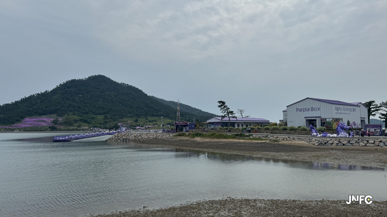 퍼플교(단도-반월도)