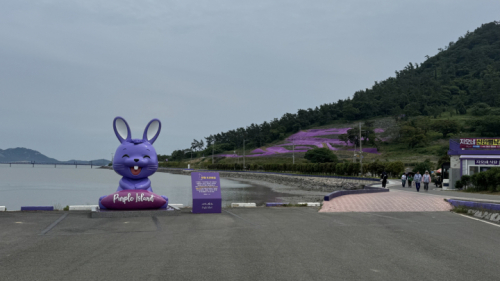 안좌도 토촌마을