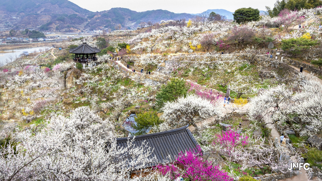 홍쌍리 청매실농원