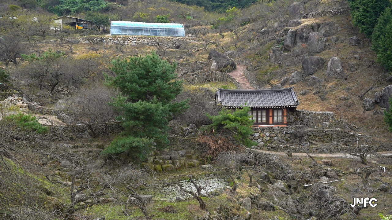 jnfc_6249_129916.jpg