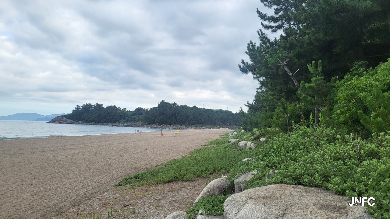 jnfc_6258_134479.jpg