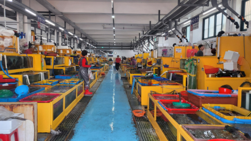 수협수산물센터