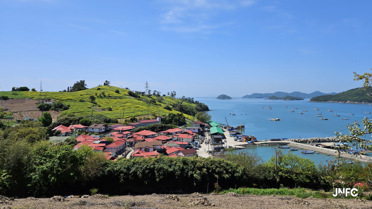 모도